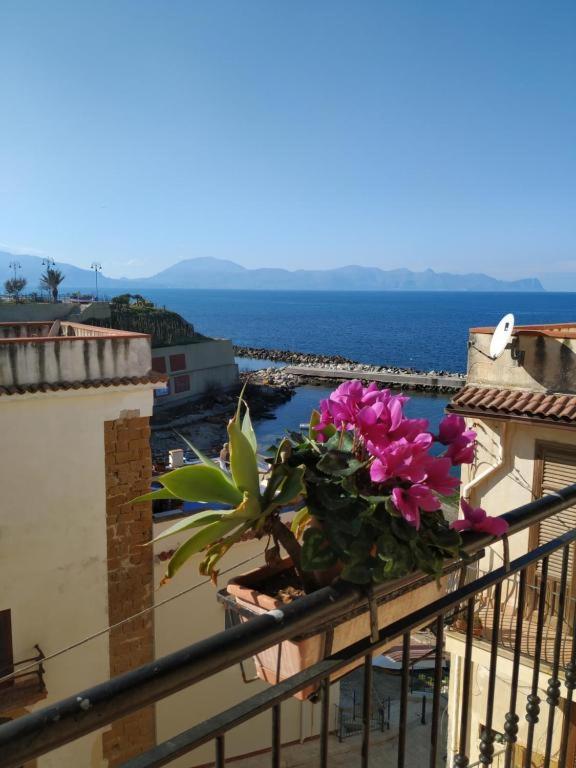 Summer Dream La Casa Sul Mare ตรัปเปโต ภายนอก รูปภาพ