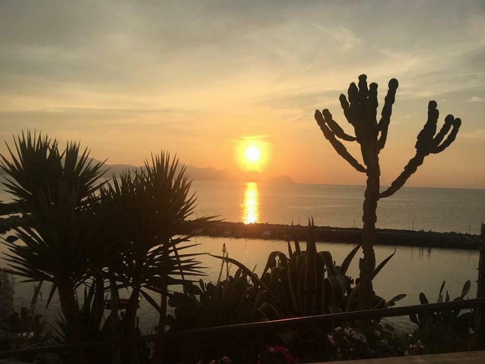 Summer Dream La Casa Sul Mare ตรัปเปโต ภายนอก รูปภาพ